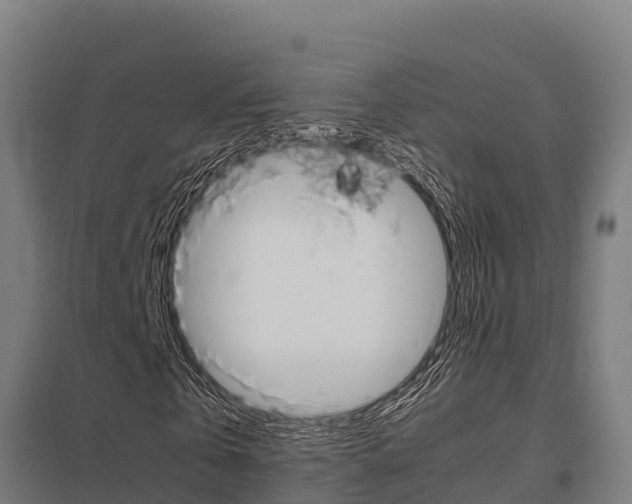 X0000098040769200803280753