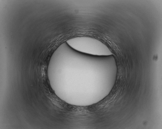 X0000098040770200803280753