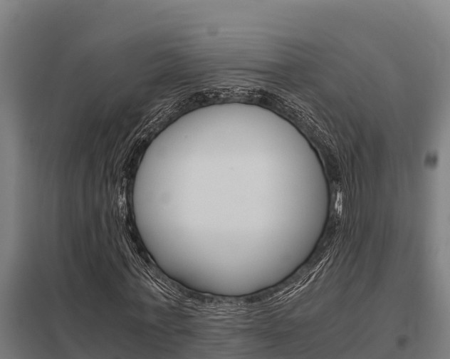 X0000098040771200803280753