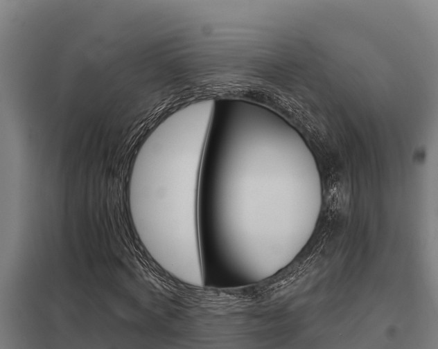 X0000098040772200803280753