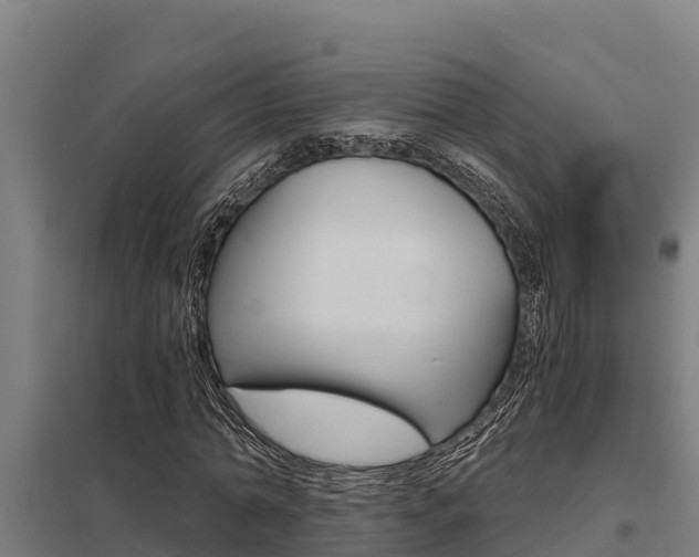 X0000098040774200803280753