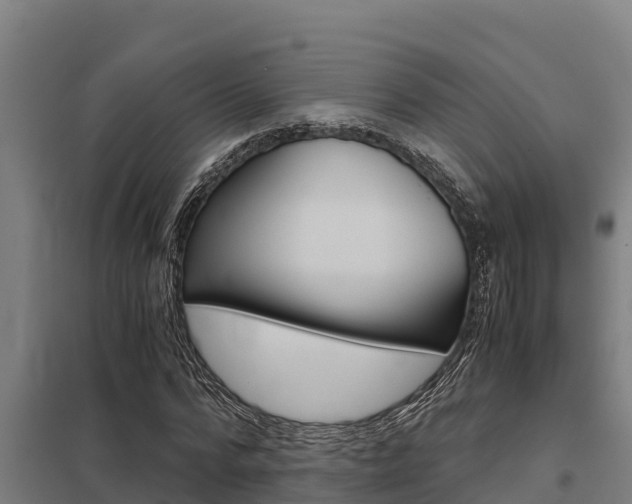 X0000098040776200803280753