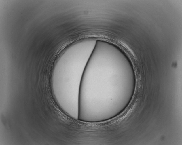 X0000098040777200803280753
