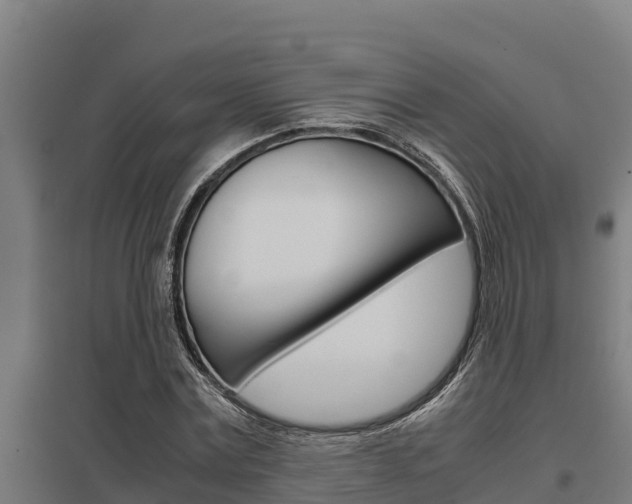 X0000098040779200803280753