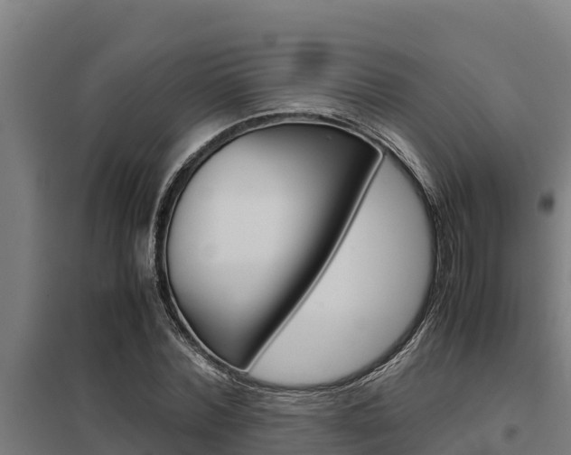 X0000098040780200803280753