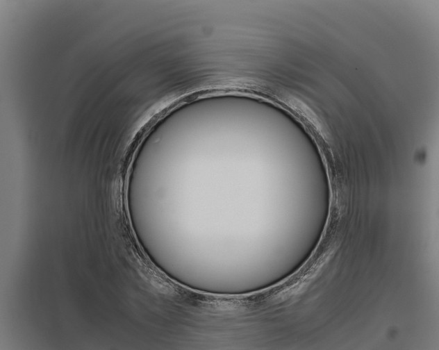 X0000098040781200803280753
