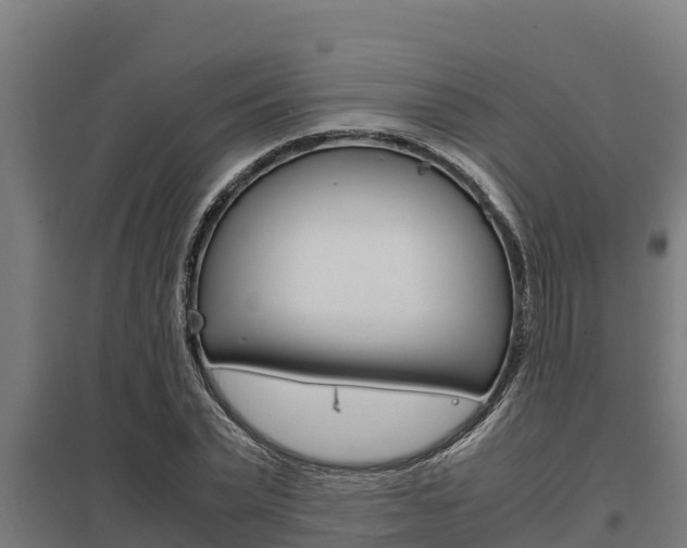X0000098040783200803280753