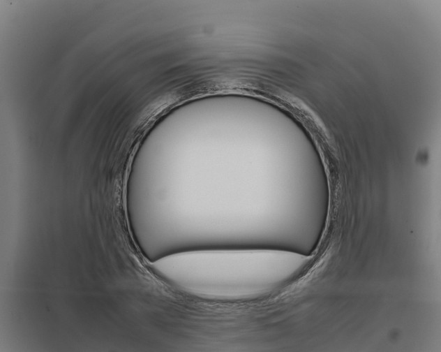 X0000098040785200803280753
