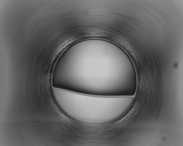 X0000098040786200803280753