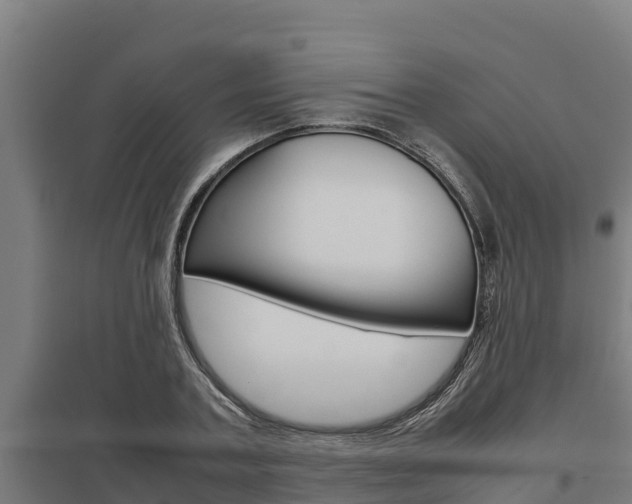 X0000098040787200803280753
