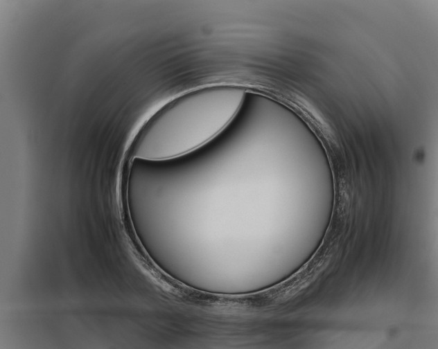X0000098040788200803280753