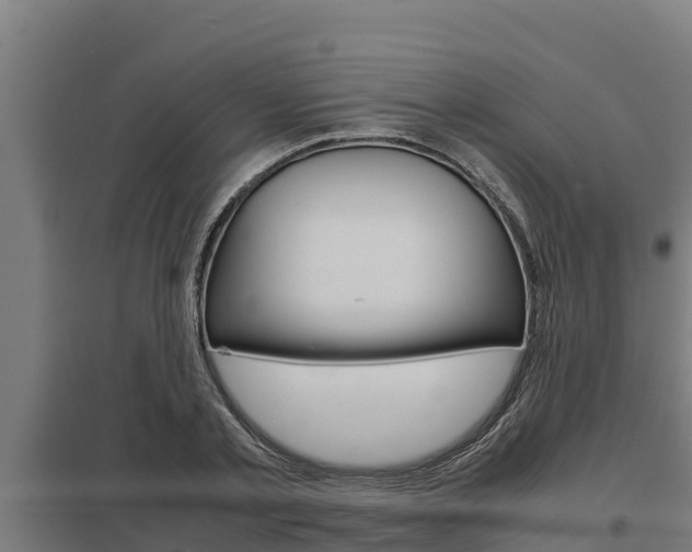 X0000098040789200803280753