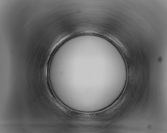 X0000098040790200803280753