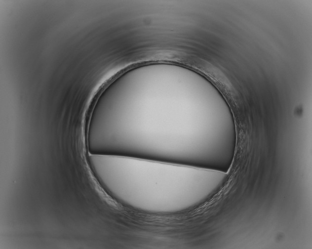 X0000098040792200803280753