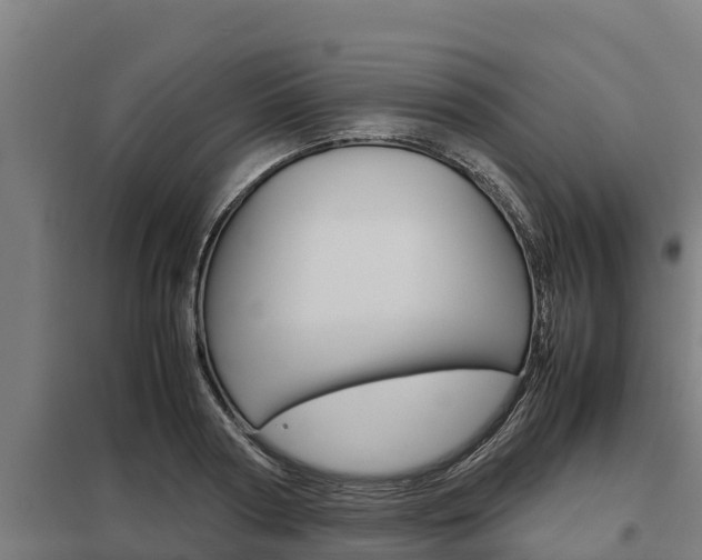 X0000098040794200803280753