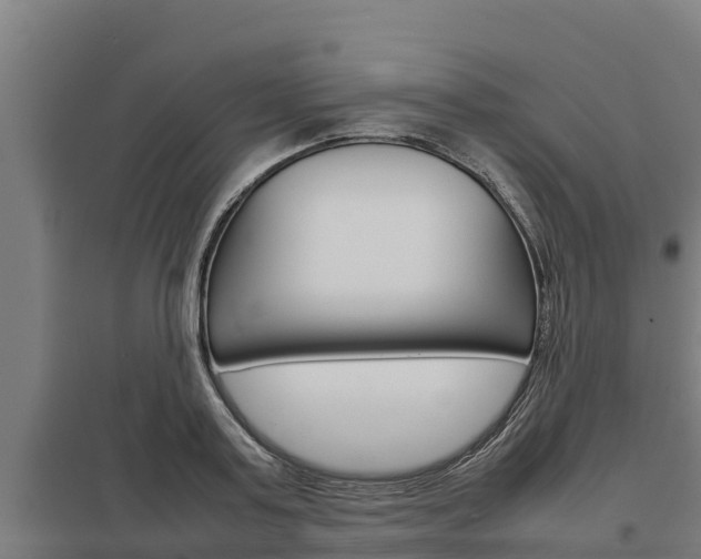 X0000098040795200803280753