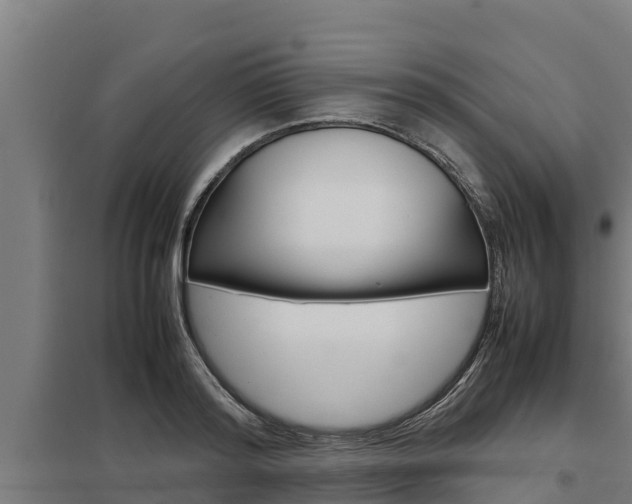 X0000098040796200803280753