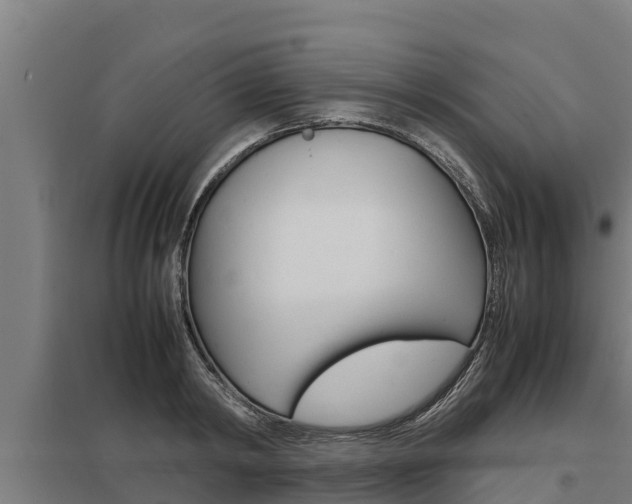 X0000098040798200803280753