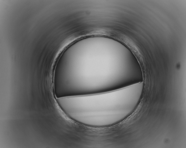 X0000098040800200803280753
