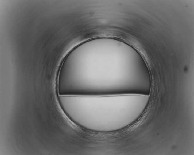 X0000098040803200803280753