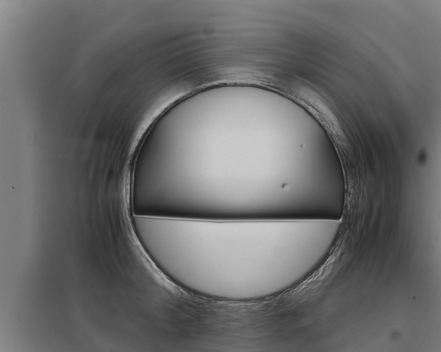X0000098040804200803280753