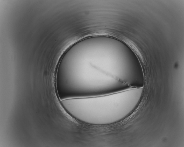 X0000098040805200803280753