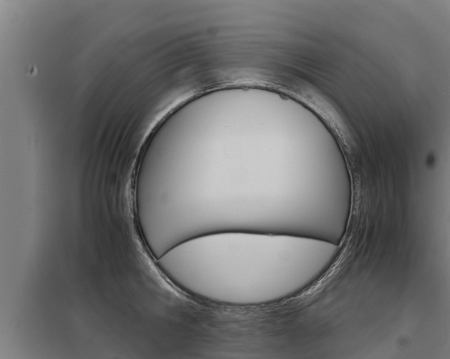 X0000098040806200803280753