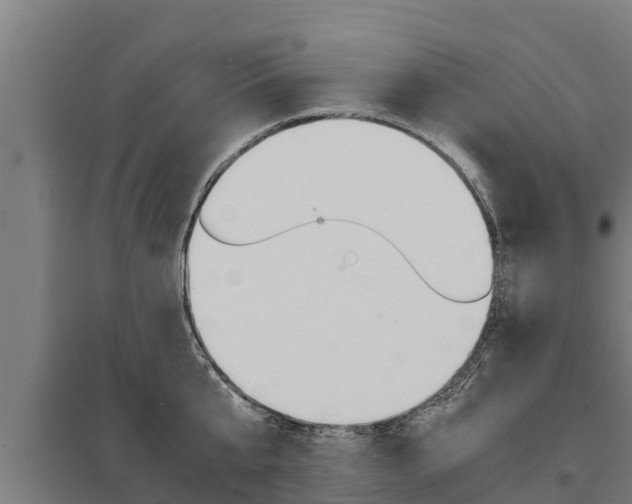 X0000098040807200803280753