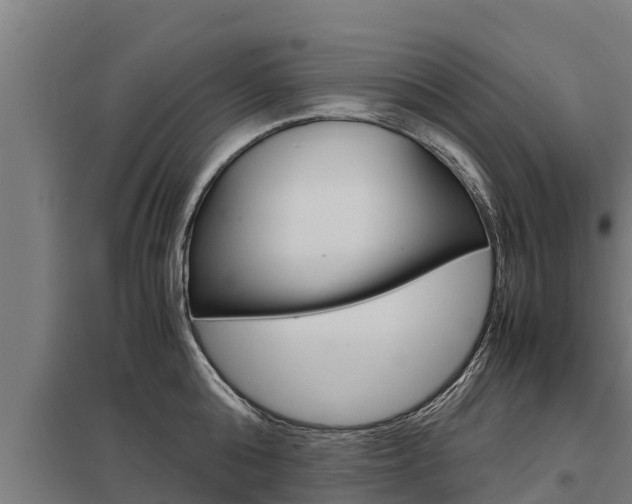 X0000098040808200803280753