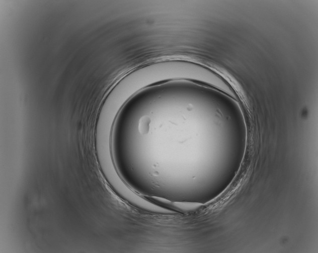 X0000098040809200803280753