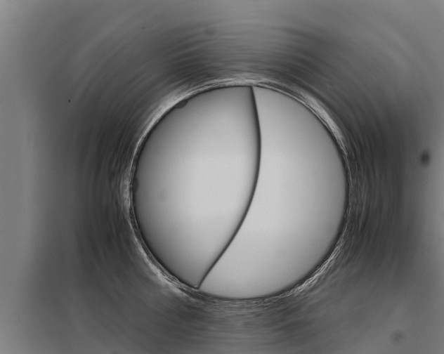 X0000098040810200803280753