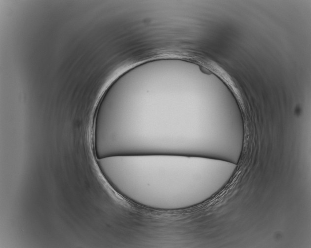 X0000098040811200803280753