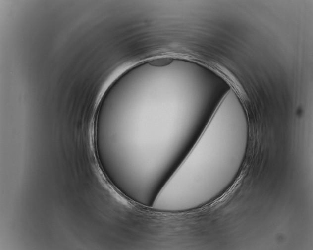 X0000098040812200803280753