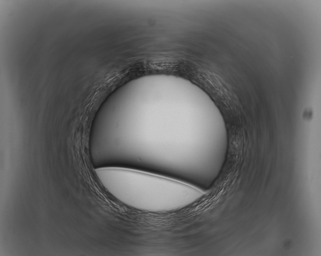 X0000098040817200803280752