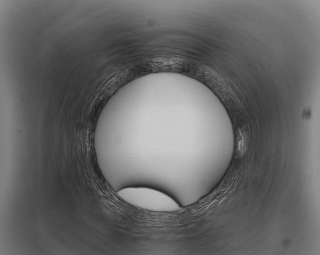 X0000098040819200803280752