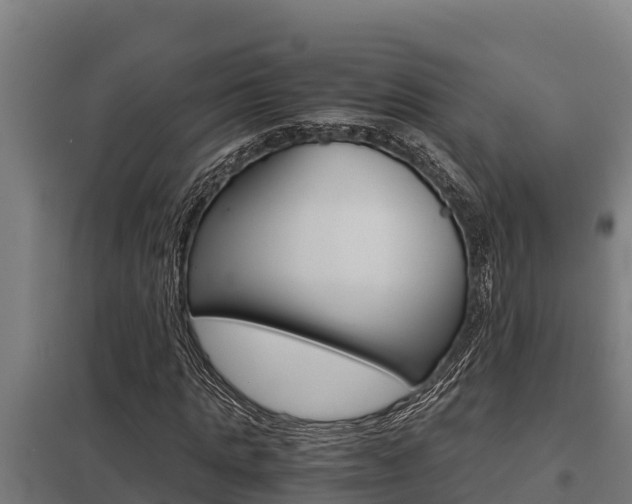 X0000098040821200803280752