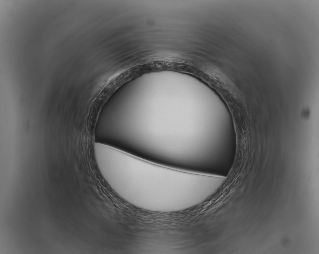 X0000098040822200803280752