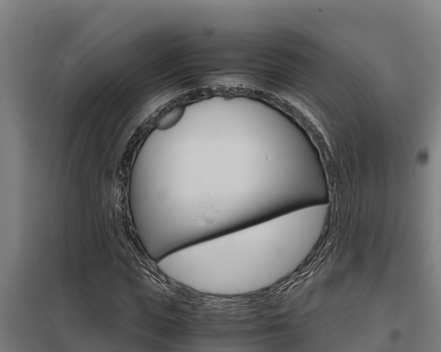 X0000098040823200803280752