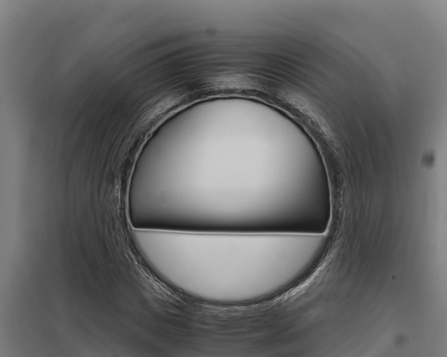 X0000098040825200803280752