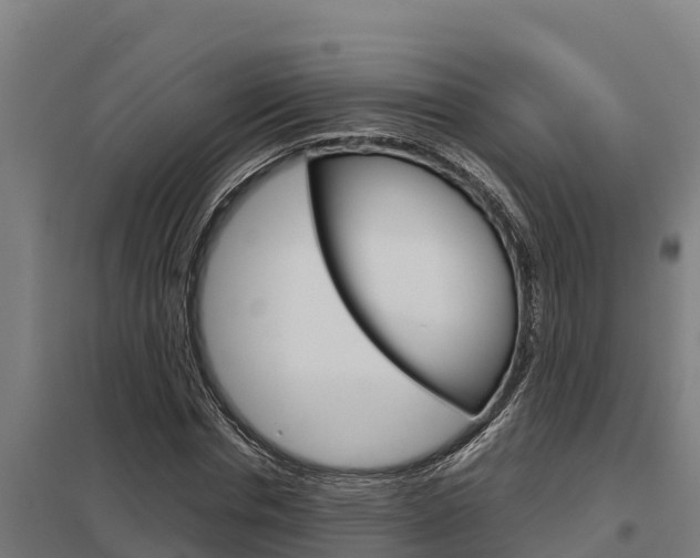 X0000098040826200803280752