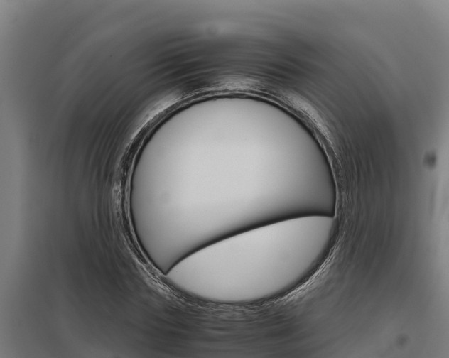 X0000098040827200803280752
