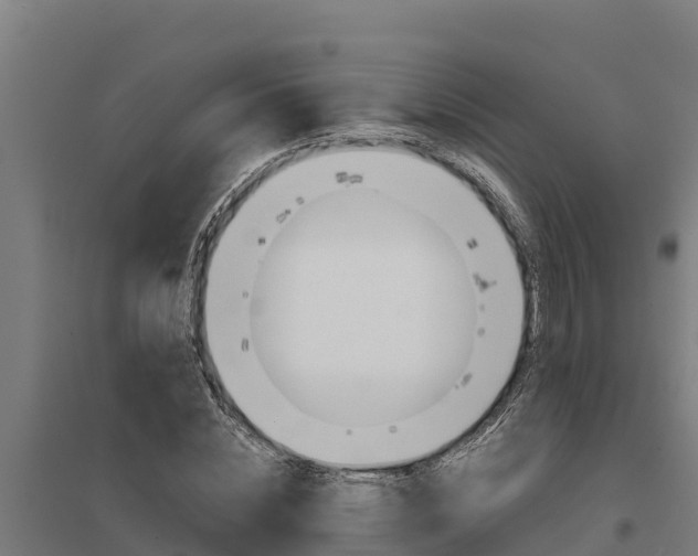 X0000098040828200803280752