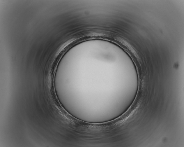 X0000098040829200803280752