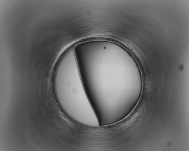 X0000098040830200803280752