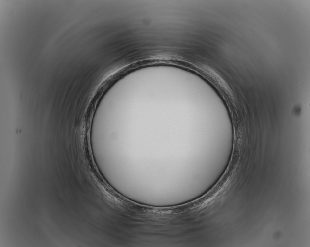 X0000098040831200803280752