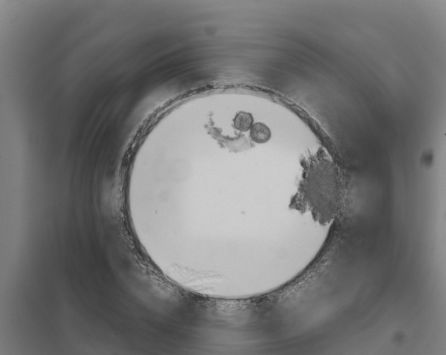 X0000098040832200803280752