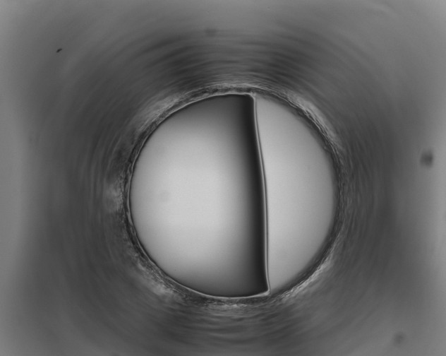 X0000098040833200803280752