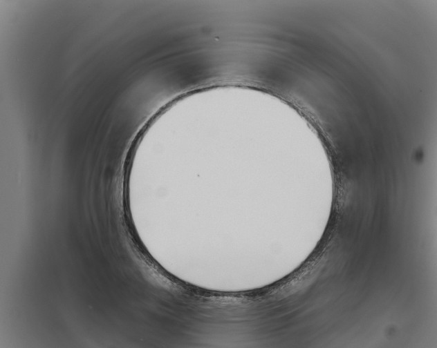 X0000098040836200803280752