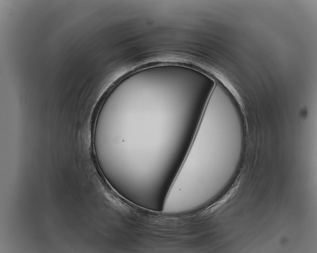 X0000098040837200803280752