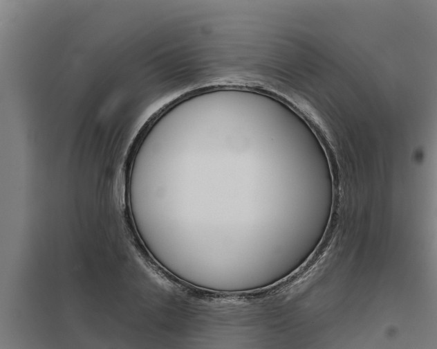 X0000098040838200803280752